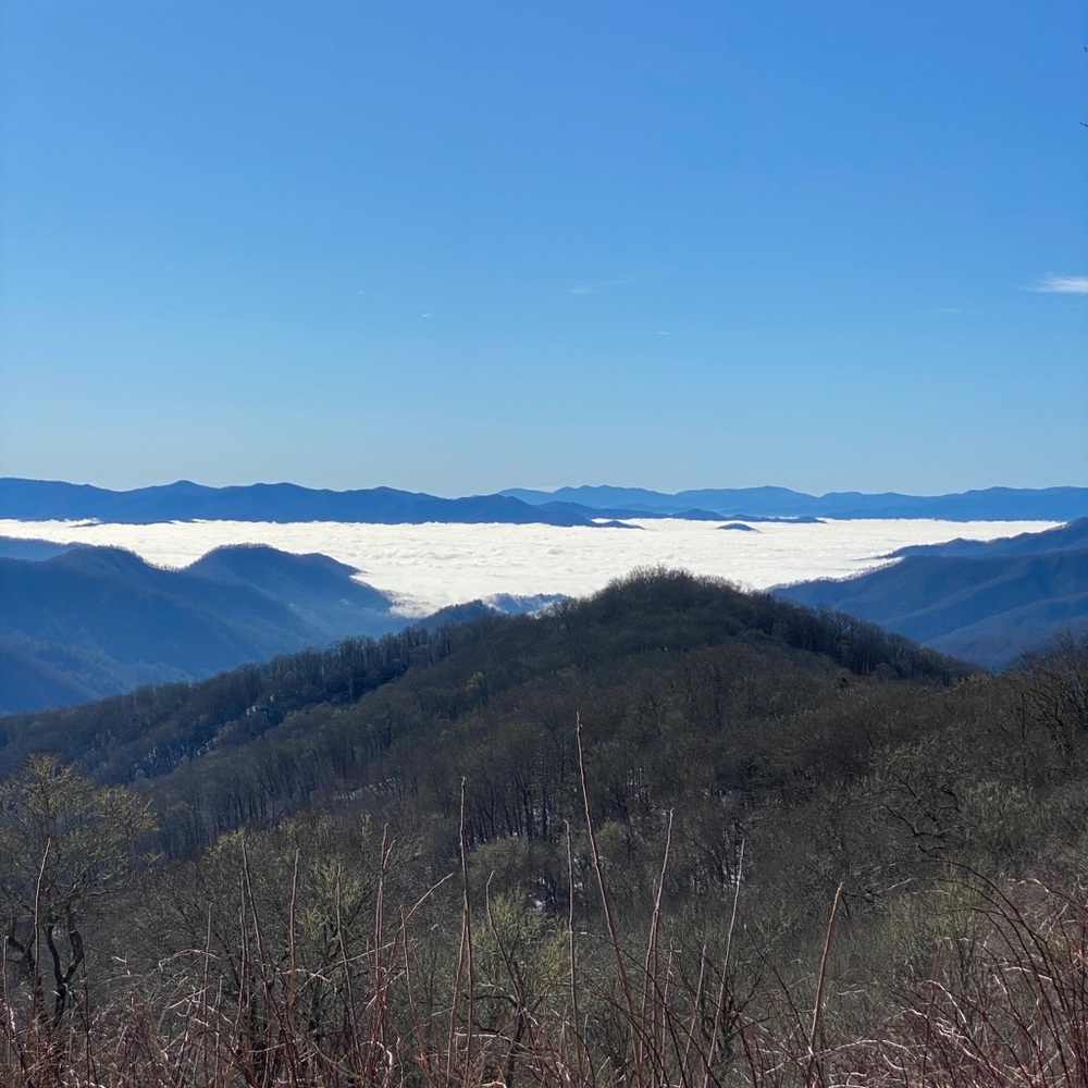 Meet your Posher, Justin